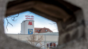 Egy hét alatt négy gyermek került a Heim Pálba, miután gombelemet nyeltek
